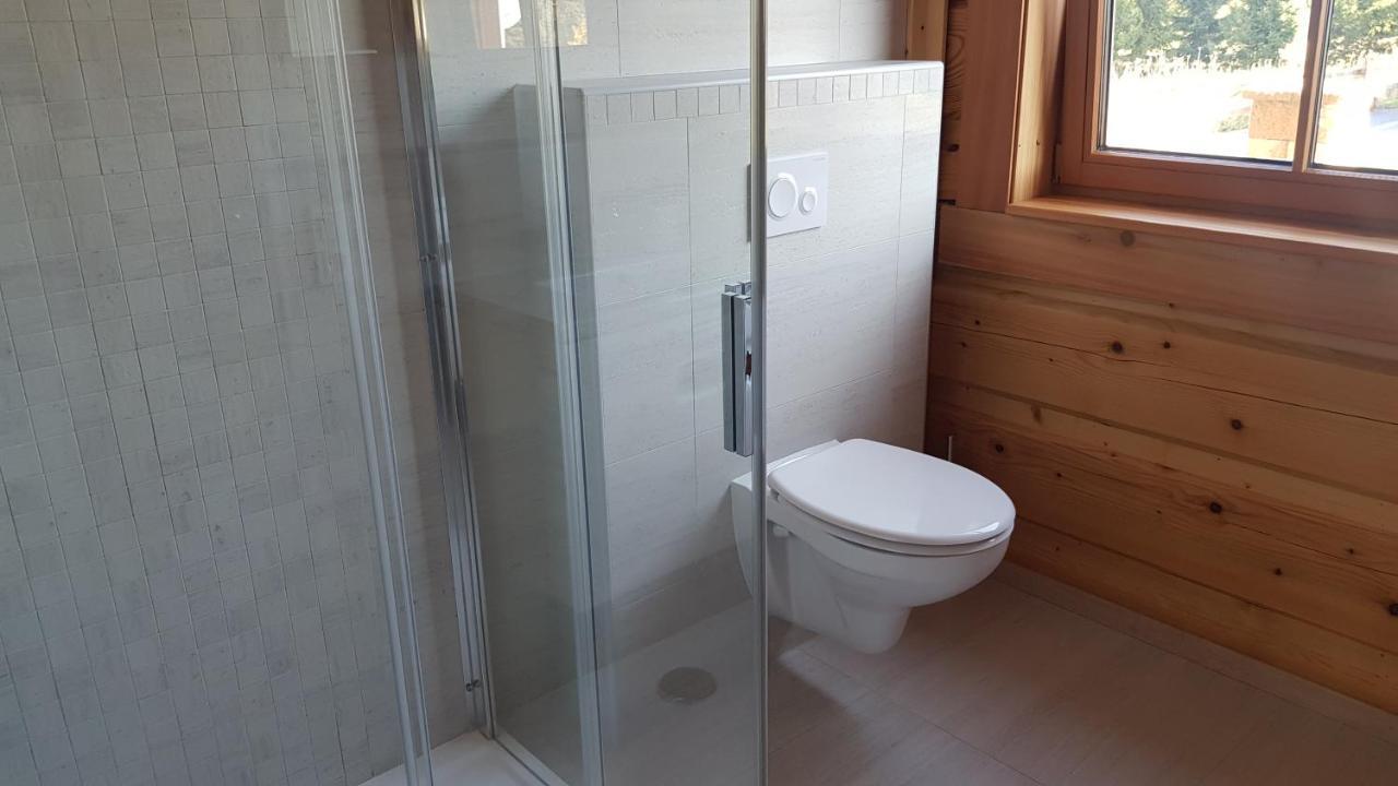 Apartmany Plesivec Abertamy Dış mekan fotoğraf